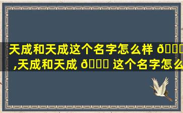 天成和天成这个名字怎么样 🐝 ,天成和天成 🐛 这个名字怎么样好听吗
